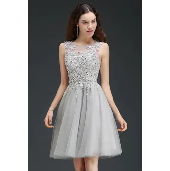 Dámské šaty Krátké tylové šaty s krajkou pro promoce a koktejlové oslavy Barva: Stříbrná, Velikost: 3XL