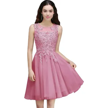 Dámské šaty Krátké šifonové šaty s květinovými aplikacemi a průsvitným výstřihem Barva: Růžová, Velikost: S