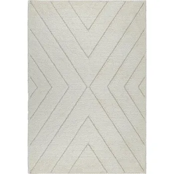 Koberec Vnitřní koberec Domoletti IDEAL SHAGGY 80362_360, 230x160 cm