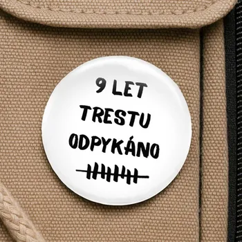 Placka se špendlíkem - 9 let trestu