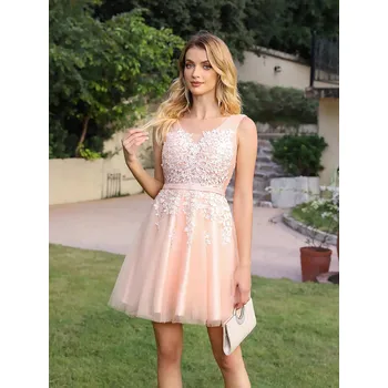 Dámské šaty Krátké tylové šaty s krajkovými aplikacemi a šněrováním na zádech Barva: Pudrová, Velikost: 3XL