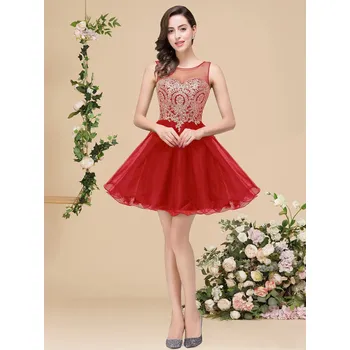 Dámské šaty Krátké šaty s korzetovým živůtkem a tylovou sukní pro večírek Barva: Červená, Velikost: 4XL