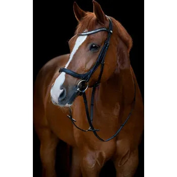 Horseguard Uzdečka anatomická Tine HorseGuard, černá SHETTY