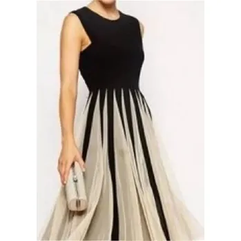 Dámské šaty Krátké plisované šaty s průsvitnou sukní pro letní události Barva: Barevná, Velikost: XL