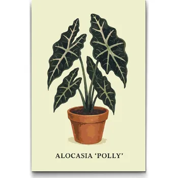 Malování podle čísel - Alokázie Polly Velikost: 40x60cm, Rámování: Pouze srolované plátno