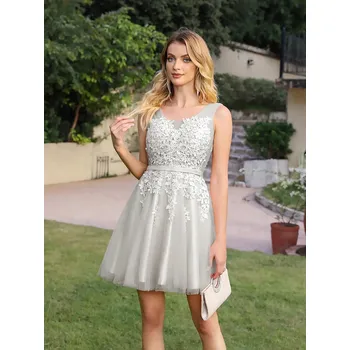 Dámské šaty Krátké tylové šaty s krajkou a výstřihem do V pro domácí oslavy Barva: Stříbrná, Velikost: 3XL