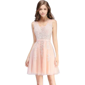 Dámské šaty Krajkové šaty po kolena s výšivkami pro promoce a oslavy Barva: Pudrová, Velikost: 3XL