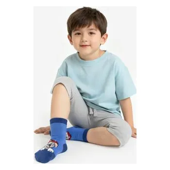 Pánské ponožky Dlouhé ponožky Paw Patrol CEO-ACCCS-AW25-330PAW(3-PACK) Modrá 22_24