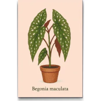 Diamantové malování Diamantové malování - Begonie skvrnitá Velikost: 40x60cm, Rámování: Pouze srolované plátno, Diamanty: Čtvercové