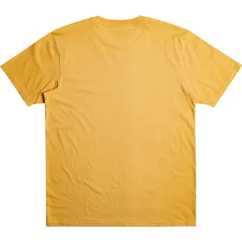 Pánské tričko Pánské tričko Quiksilver Scholarship Velikost: XL