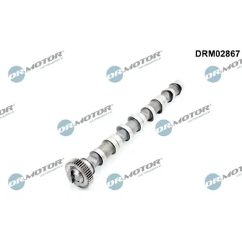 Vačková hřídel Vačková hřídel Dr.Motor Automotive DRM02867