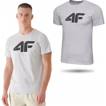 Pánské tričko Pánské tričko 4F 4FWSS24TTSHM1154-46S-XL vel. XL