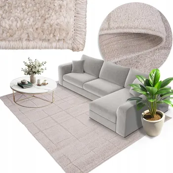 Koberec Módní koberec do obýváku Elena Moderní koberec 80x150 #FR2541 MĚKKÝ koberec