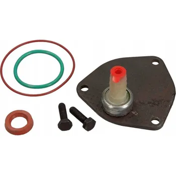 Vakuové čerpadlo Dr.Motor DRM0323 Opravná sada, vakuová pumpa (brzdový systém)