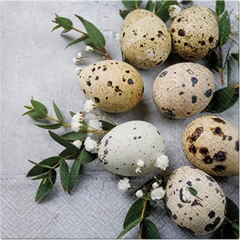 Papírový ubrousek Papírový ubrousek čtvercový 33 cm x 33 cm