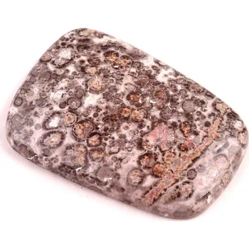 Přírodní kámen Kabošon Jaspis Leopard Skin č.6930 (34x23x5mm)