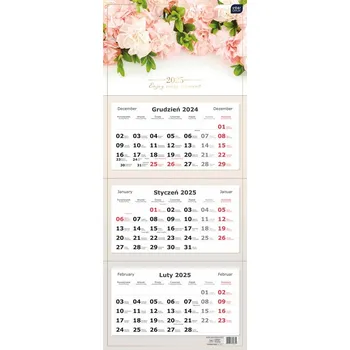 Obraz Třídílný nástěnný kalendář 82,5x34cm KVĚTINY 2025