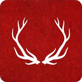 Obraz Kvadratická podložka plst 10 x 10 cm