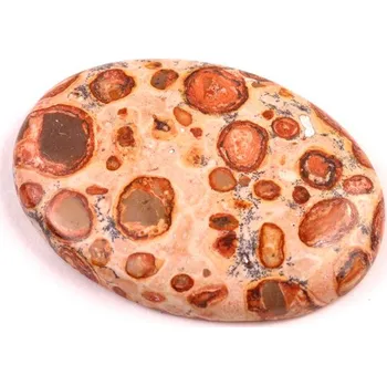 Přírodní kámen Kabošon Leopardit č.6906 (38x27x6mm)