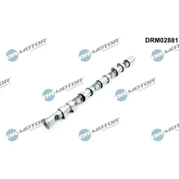 Vačková hřídel Vačková hřídel Dr.Motor Automotive DRM02881
