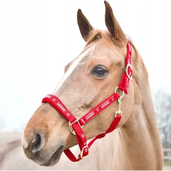 Bezpečnostní kamera Uzda Horze 2 (cob) červená