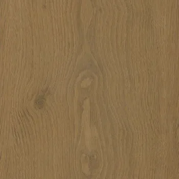 vinylová podlaha Podlaha vinylová FLOORNITE CLIC BASIC PLUS dub Missouri 1220 × 228 × 5 mm