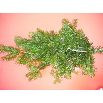 Vánoční dekorace Jedlové chvojí vánoční