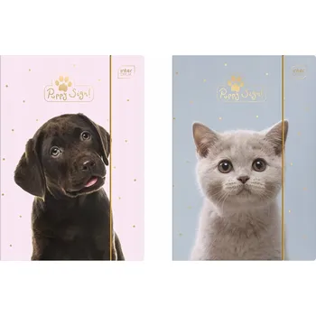 Desky s gumou A4 Interdruk, papírové desky A4, kartonové desky A4