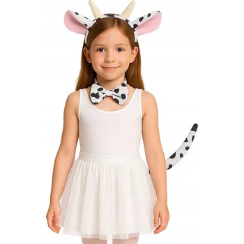 Karnevalový kostým Kostým kostým