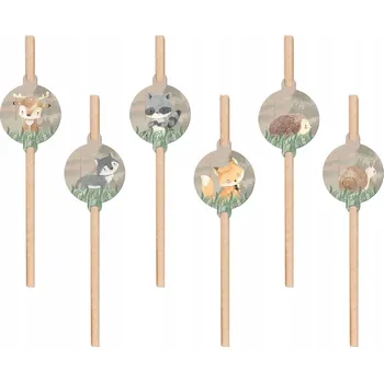 Papírová Brčka Congee 6 ks