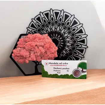 Obraz Dárkový poukaz 1000 Kč Emailem