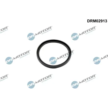 Těsnění motoru Těsnicí kroužek, hadice plnicího vzduchu Dr.Motor Automotive DRM02913