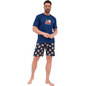 Pánské pyžamo Pánské pyžamo CORNETTE 326/291 TEDDY 4 tmavě modrá XL 0
