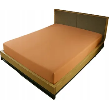 Prostěradlo PROSTĚRADLO JERSEY S GUMOU 180x220 MERUŇKOVÉ