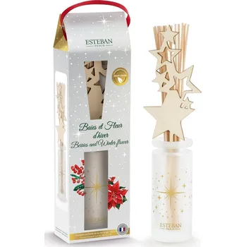 Aroma difuzér Esteban Paris Parfums ESTEBAN - DIFUZÉR 100 ML - VÁNOČNÍ EDICE - berries and winter flower 2025