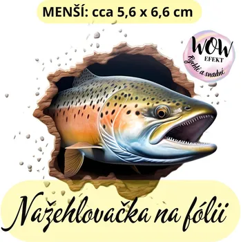 Nažehlovačky na fólii Nažehlovačka na fólii, RYBA, 1 kus Zvolte VELIKOST motivu ZDE:: Menší