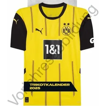 BVB Trikotkalender 2026 - Heye