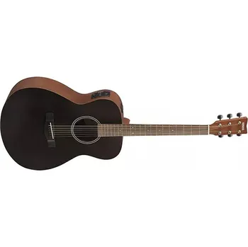 Kytara Elektroakustická kytara Yamaha FSX400 SMB