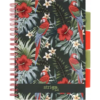 Sešit B5 s linkami Strigo, 100 listů