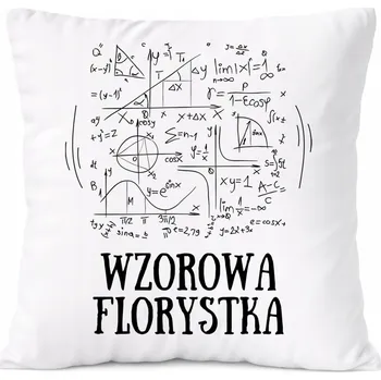 Polštář Polštář pro grafiku jako Dárek s s potiskem a fotografií Bílá PoliDraw