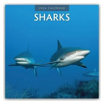 Encyklopedie Sharks - Haie 2026 - 16-Monatskalender - Red, Robin