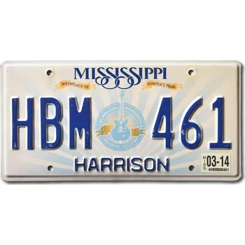 Plechová cedule Americká SPZ Mississippi Lucille Guitar