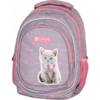 Školní batoh Vícekomorový Školní batoh AstraBag v odstínech šedé a stříbrné, růžový, 20 l