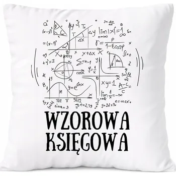 Polštář Polštář pro účetní jako Dárek s potiskem s fotografií Bílá PoliDraw