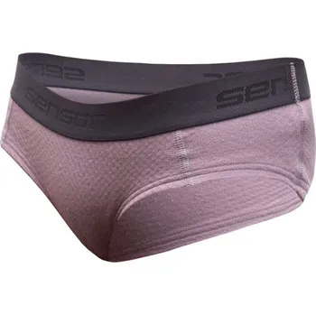 Dámské spodní prádlo SENSOR MERINO DF dámské kalhotky mystic violet - M