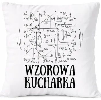 Polštář Dárek Polštář s potiskem , bílý PoliDraw