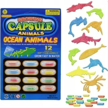 Obraz ZVÍŘATA Z OCEÁNU MAGICKÉ KAPSLE, KTERÉ SE LÍHNOU