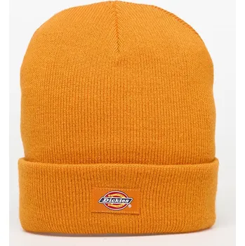 Oblečení a móda Čepice Dickies Gibsland Beanie Autumn Maple Universal