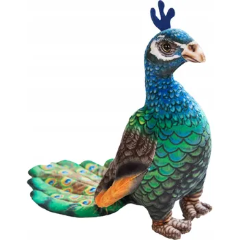 plyšák PLYŠÁK PLYŠOVÝ MAZLÍČEK PŘÍTULNÍČEK BAREVNÝ REALISTICKÝ VELKÝ PÁV PTÁK 45 cm