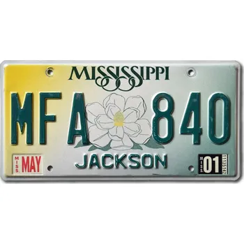 Plechová cedule Americká SPZ Mississippi Magnolia